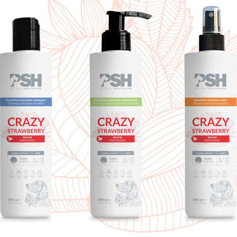 PSH Shampooing Crazy Strawberry - Poils courts 300 ml