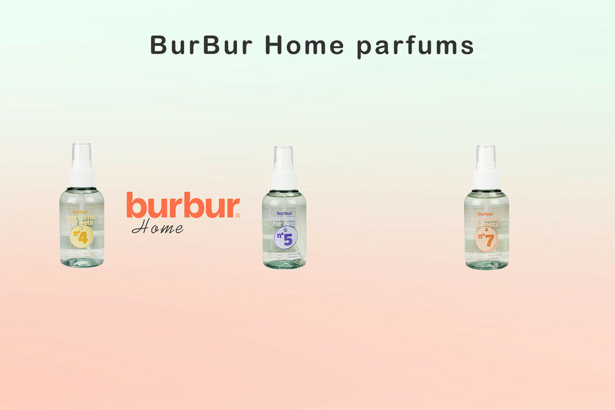 Burbur-Home-Parfum